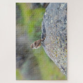 Rock Wren Legpuzzel (Verticaal)