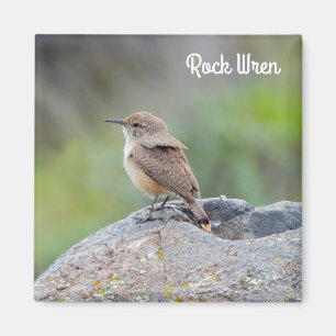 Rock Wren Magneet