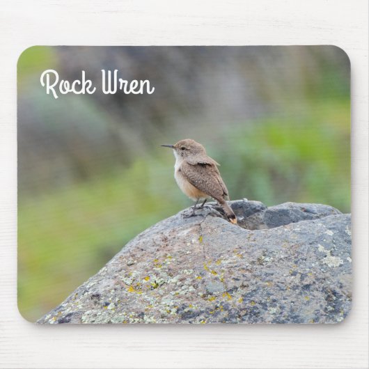 Rock Wren Muismat (Voorkant)