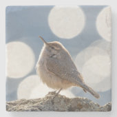 Rock Wren Stone Onderzetter (Voorkant)