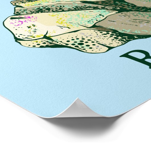 Rock Wren vogels Nieuw-Zeeland Poster (Hoek)