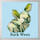 Rock Wren vogels Nieuw-Zeeland Poster (Voorkant)