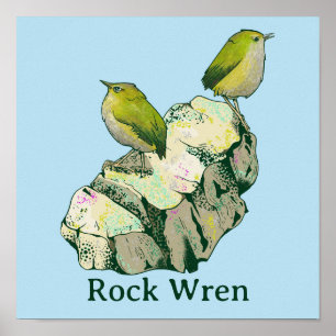 Rock Wren vogels Nieuw-Zeeland Poster