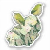 Rock Wren vogels Nieuw-Zeeland Sticker (Voorkant)