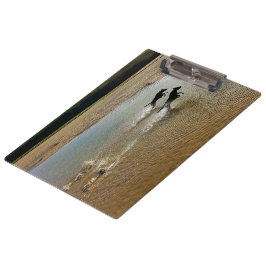 Rocket Dogs die de rivier de Gannel oplaadt Klembord