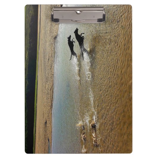 Rocket Dogs die de rivier de Gannel oplaadt Klembord (Voorkant)