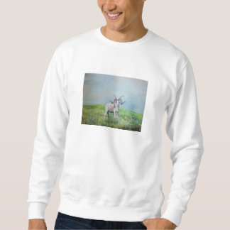 Rocket sweatshirt