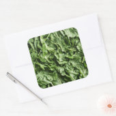 Rocket Vierkante Sticker (Envelop)