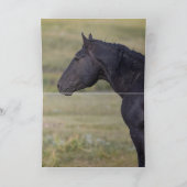 Rocket's Family Greeting Card (Binnen)