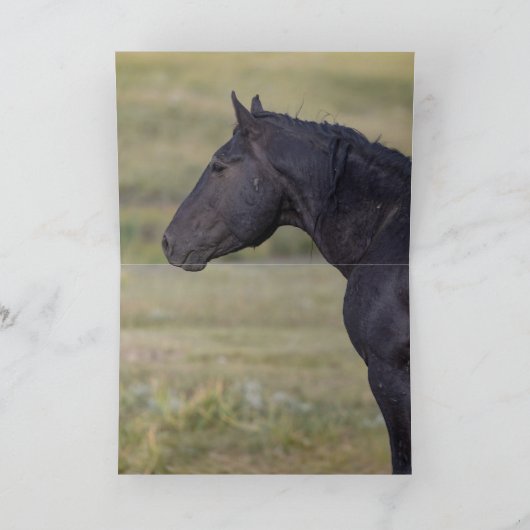 Rocket's Family Greeting Card (Binnen)