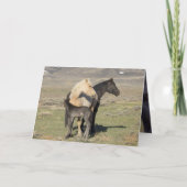 Rocket's Family Greeting Card (Voorkant)