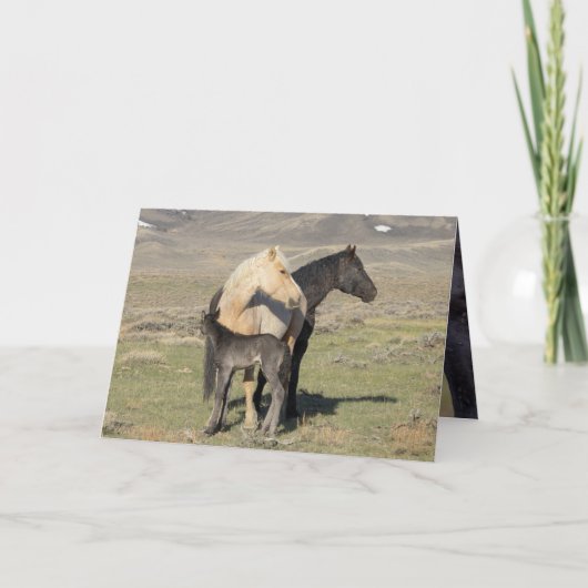 Rocket's Family Greeting Card (Voorkant)