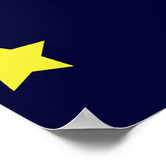 Rocketship Poster (Hoek)