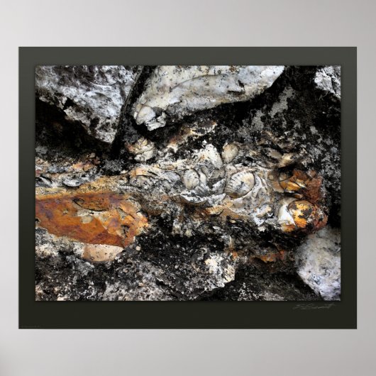 Rockface 118 Art Print -24x20 -andere maten ook (Voorkant)