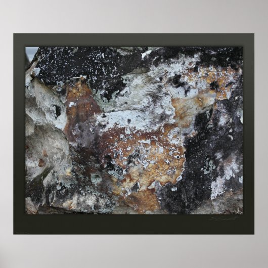 Rockface 59 Canvas Print -24x20 - kleiner beschikb (Voorkant)