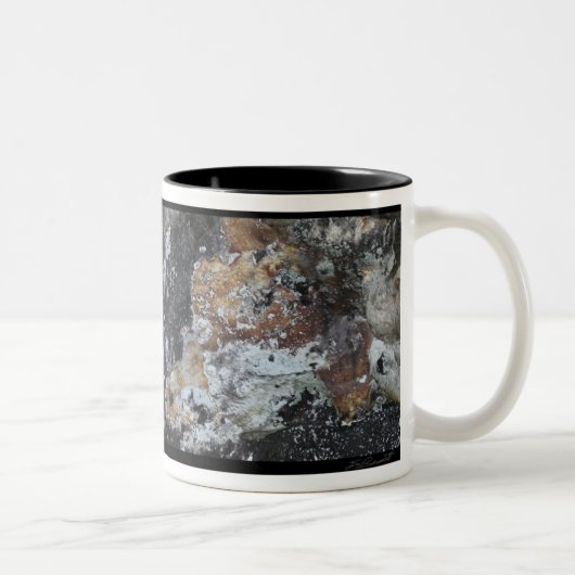 Rockface 59 Mok (Rechts)