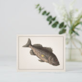 Rockfish Briefkaart - Style I (Staand voorkant)