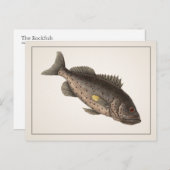 Rockfish Briefkaart - Style I (Voorkant / Achterkant)