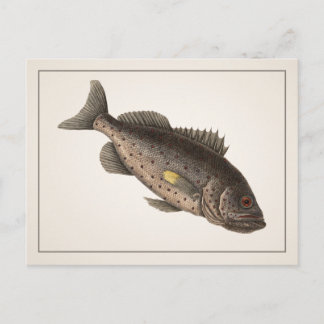 Rockfish Briefkaart - Style I