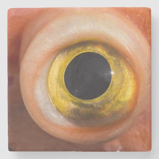 Rockfish Eye Stenen Onderzetter (Voorkant)