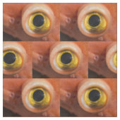 Rockfish Eye Stof (Swatch)