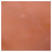 Rockfish Eye Stof (Swatch)
