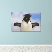 Rockhopper Penguin Eudyptes chrysocome Canvas Afdruk (Insitu (Houten vloer))