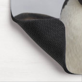 Rockhopper Penguin Eudyptes chrysocome Muismat (Hoek)