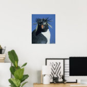 Rockhopper Penguin (Eudyptes chrysocome) Poster (Thuiskantoor)