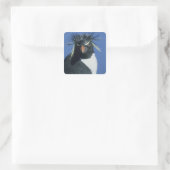Rockhopper Penguin (Eudyptes chrysocome) Vierkante Sticker (Tas)