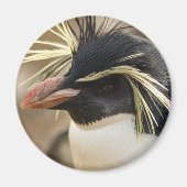 Rockhopper Penguin Magnet (Voorkant)