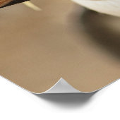 Rockhopper Penguin Poster (Hoek)