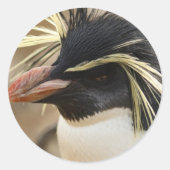 Rockhopper Penguin Stickers (Voorkant)