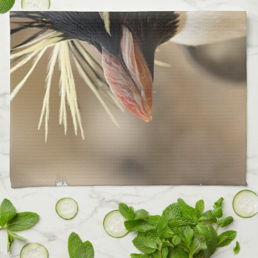 Rockhopper Penguin Towel Theedoek (Gevouwen)