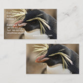 Rockhopper Penguin Visitekaartjes (Voorkant / Achterkant)