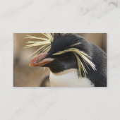 Rockhopper Penguin Visitekaartjes (Achterkant)