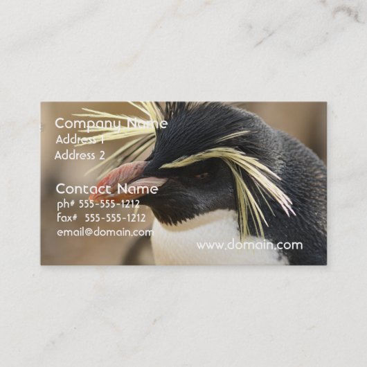 Rockhopper Penguin Visitekaartjes (Voorkant)