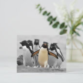 Rockhopper Penguins Briefkaart (Staand voorkant)
