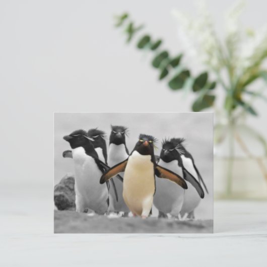 Rockhopper Penguins Briefkaart (Staand voorkant)