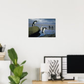 Rockhopper Penguins, Eudyptes chrysocome), Poster (Thuiskantoor)