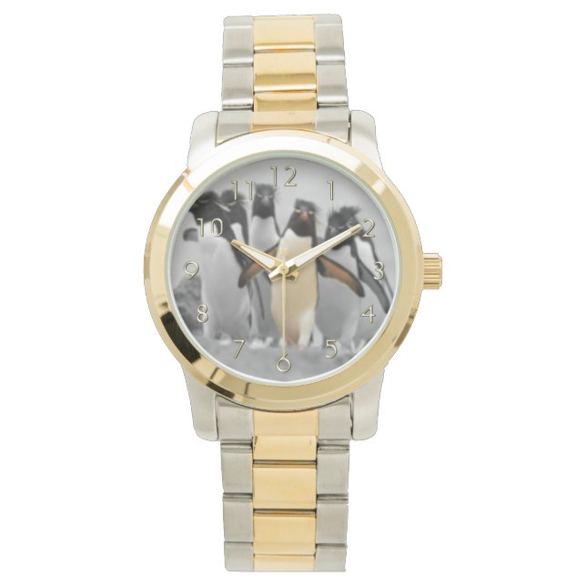 Rockhopper Penguins Horloge (Voorkant)