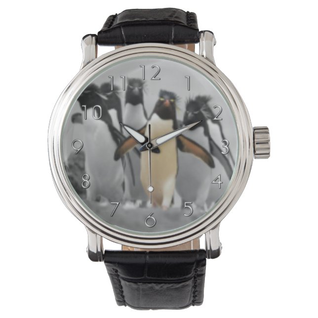 Rockhopper Penguins Horloge (Voorkant)