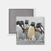 Rockhopper Penguins Magneet (Voorkant / Achterkant)