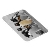 Rockhopper Penguins Magneet (Rechterzijde)