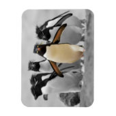 Rockhopper Penguins Magneet (Verticaal)