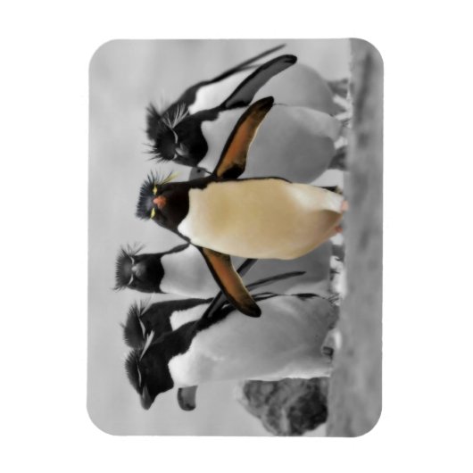 Rockhopper Penguins Magneet (Verticaal)