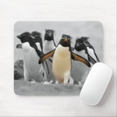 Rockhopper Penguins Muismat (Met muis)