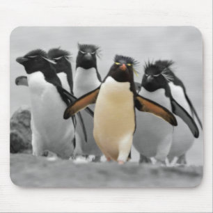 Rockhopper Penguins Muismat