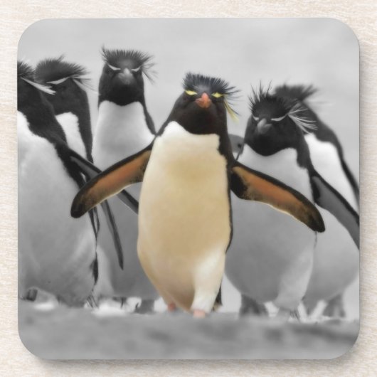Rockhopper Penguins Onderzetter (Voorkant)