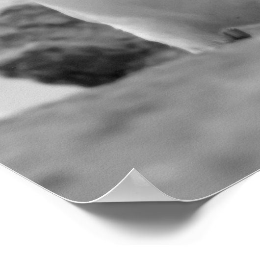 Rockhopper Penguins Poster (Hoek)